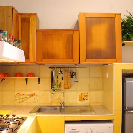 La Terrazza Sugli Aranci 公寓 里约滨海